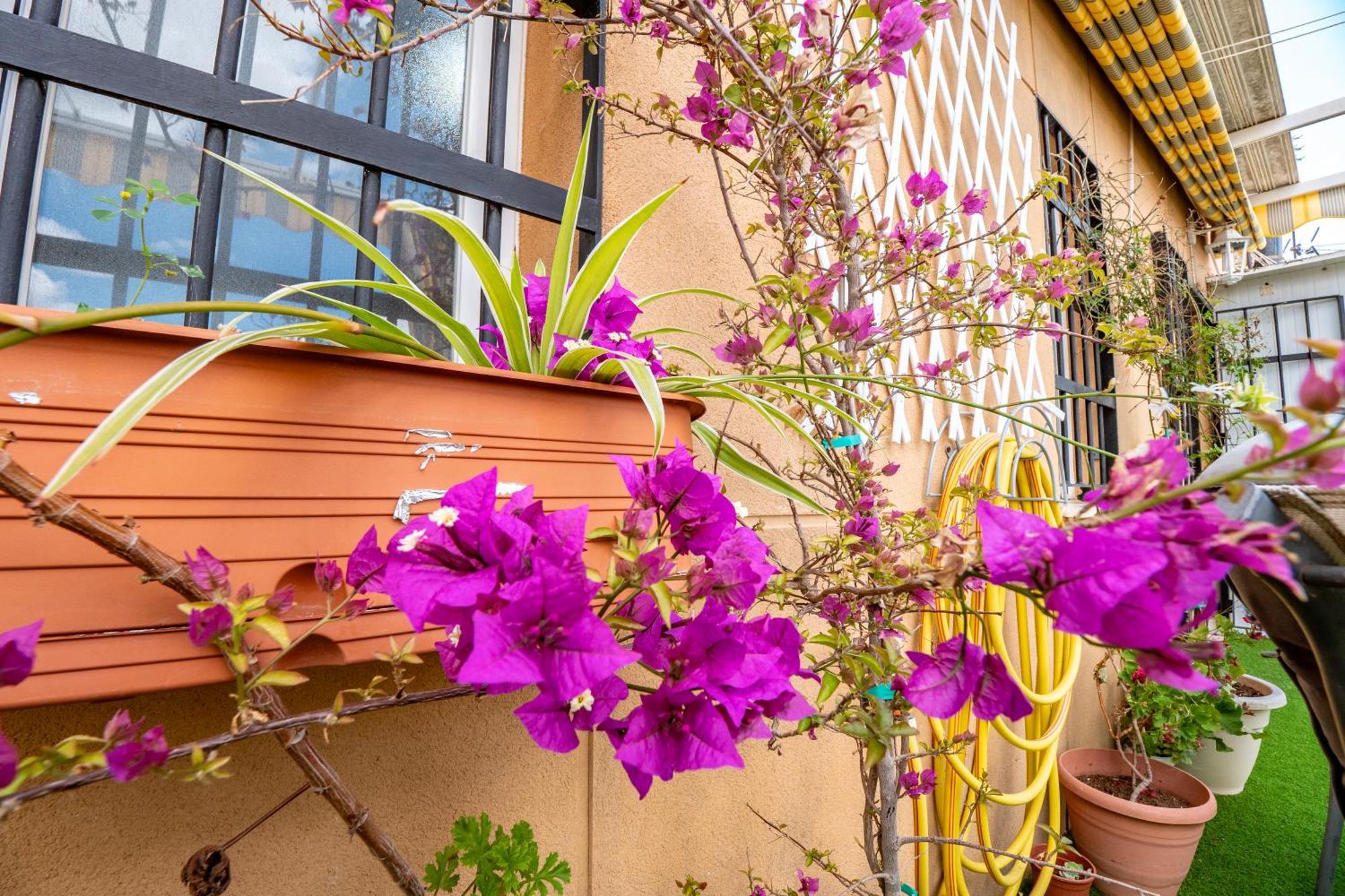 Apartmán Atico Con Terraza Junto A La Catedral Huelva Exteriér fotografie